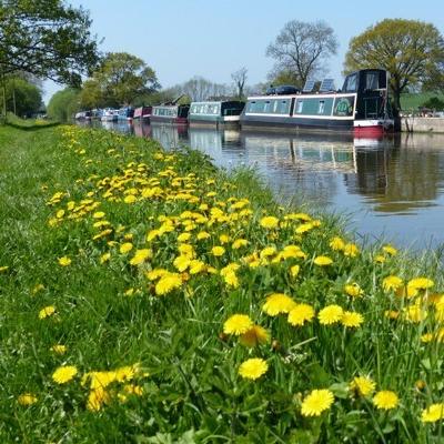 Shropshire Canal